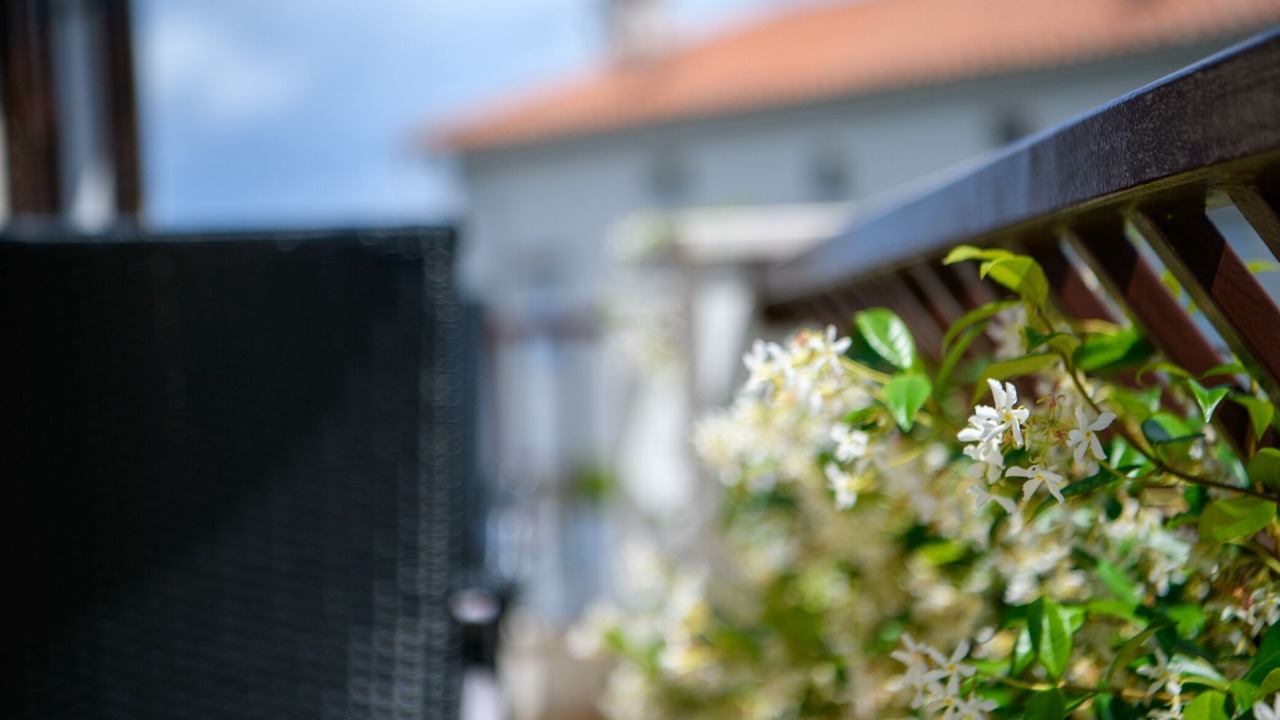 Photo of Outdoor in Brsec