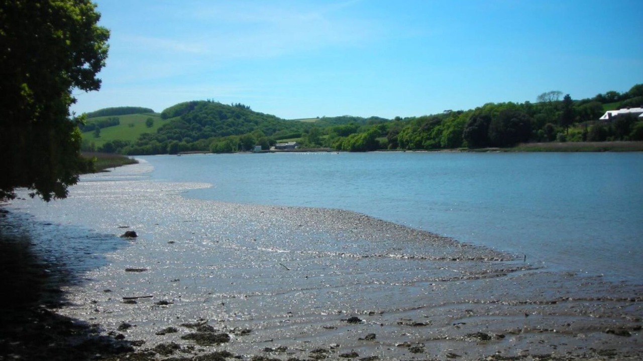 Photo of Others in Morwellham