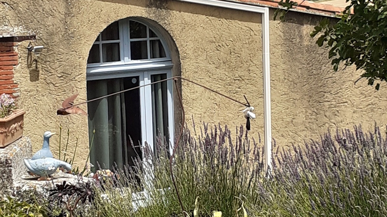 Photo of Outdoor in Montmaur
