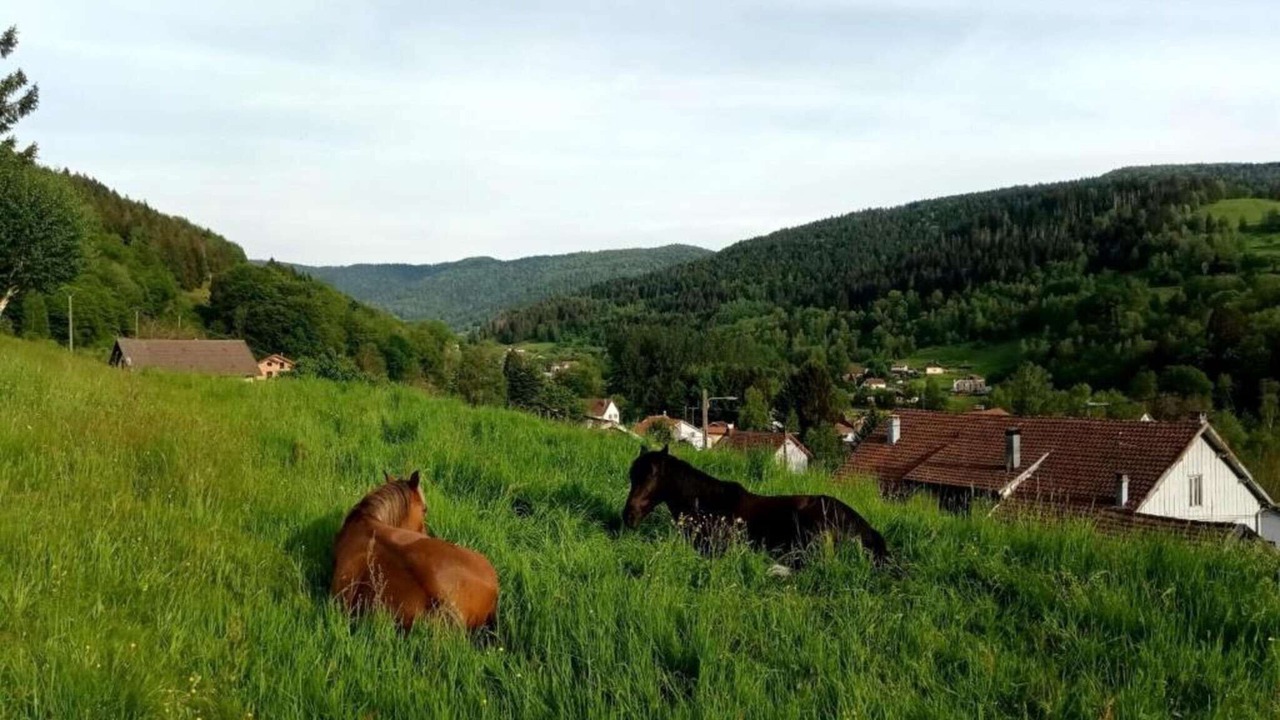 Photo of Others in Saint-Maurice-sur-Moselle