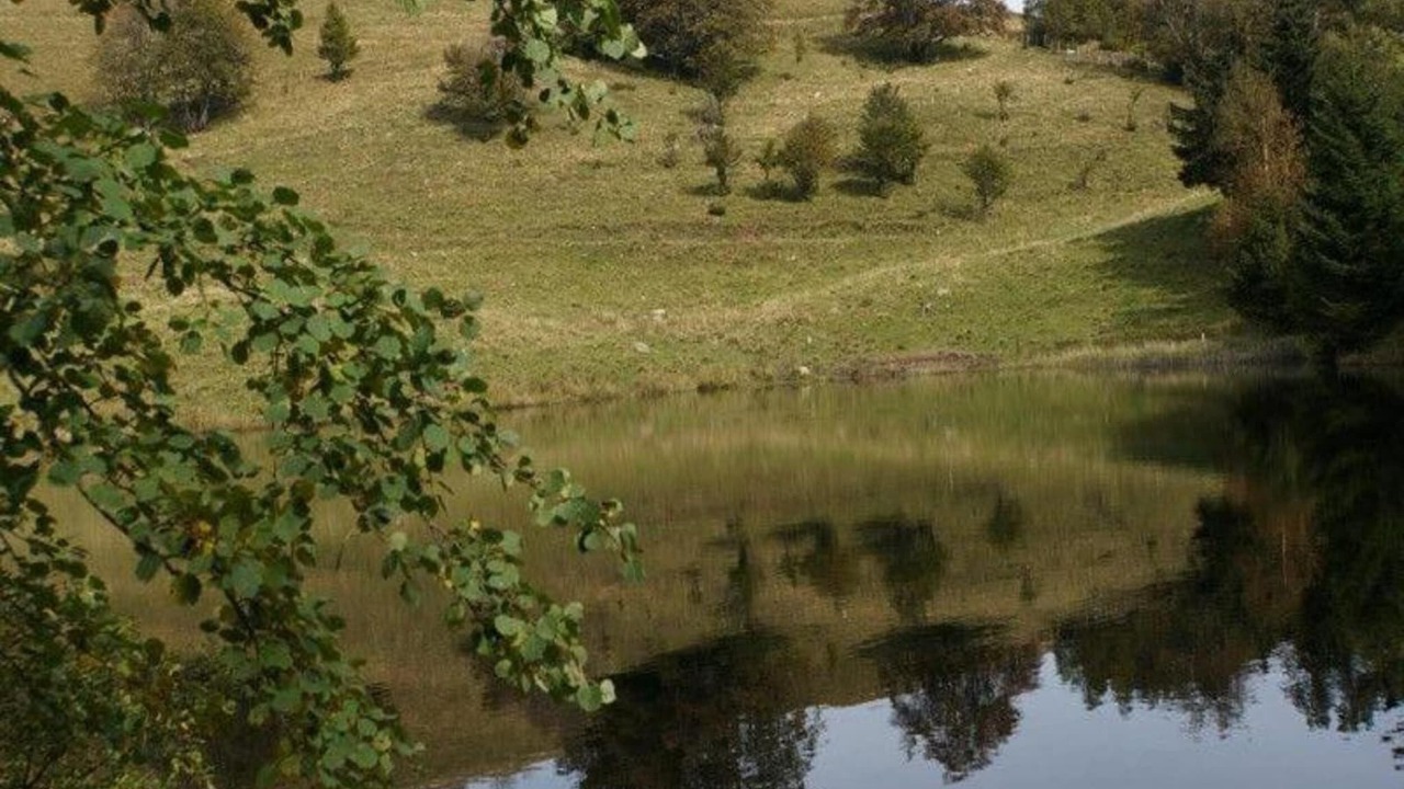 Photo of Others in Saint-Maurice-sur-Moselle