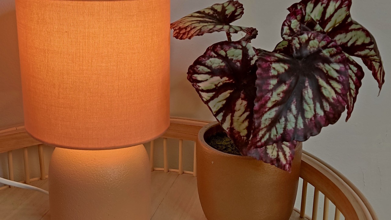 Photo of Others in Glenisla