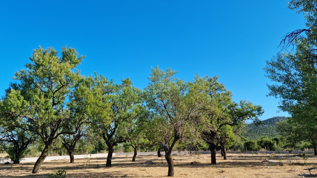 Photo of Outdoor in Velim