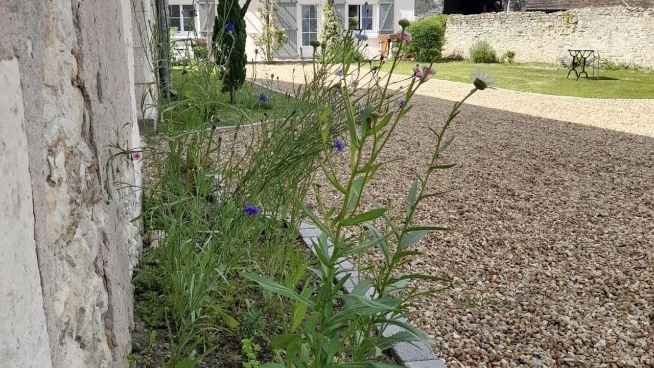 Photo of Outdoor in Chambourg-sur-Indre