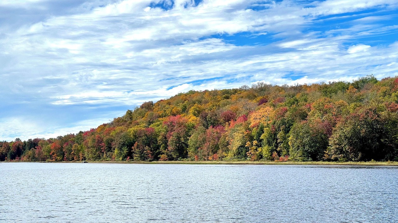 Photo of Others in Stratford