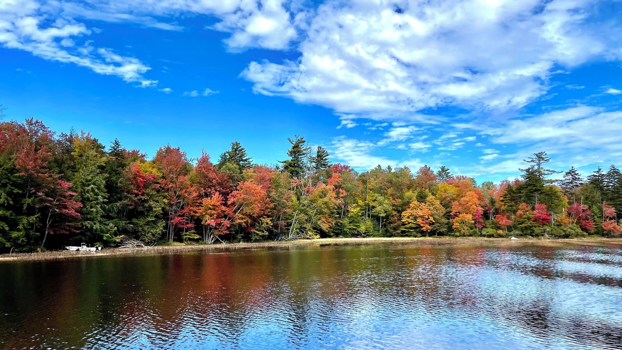 Photo of Outdoor in Stratford