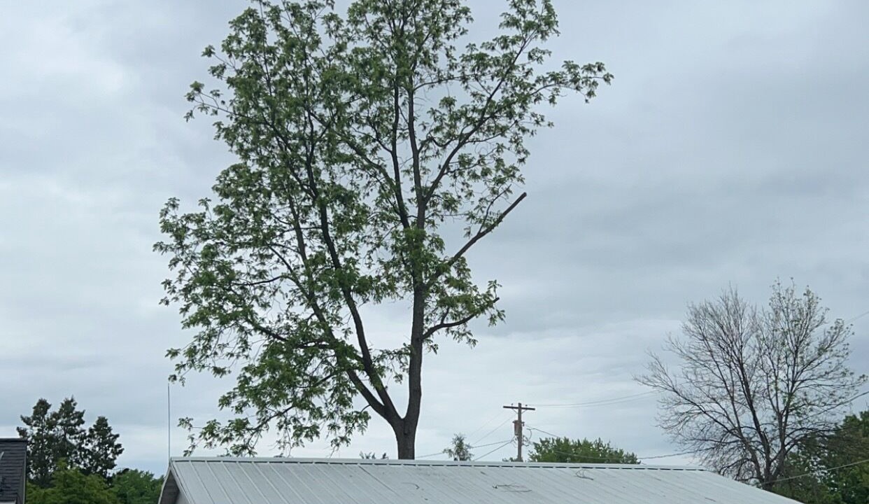 Photo of Outdoor in Black River Falls