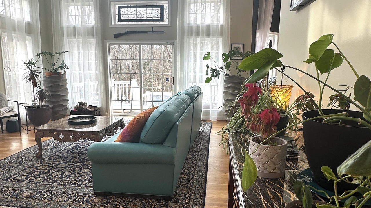 Photo of Livingroom in Fredericksburg