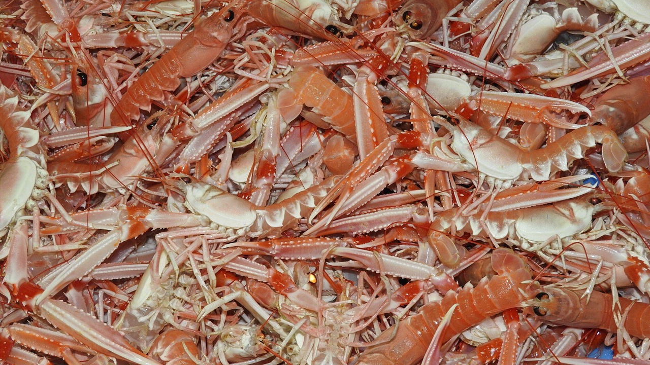 Photo of Others in Guilvinec