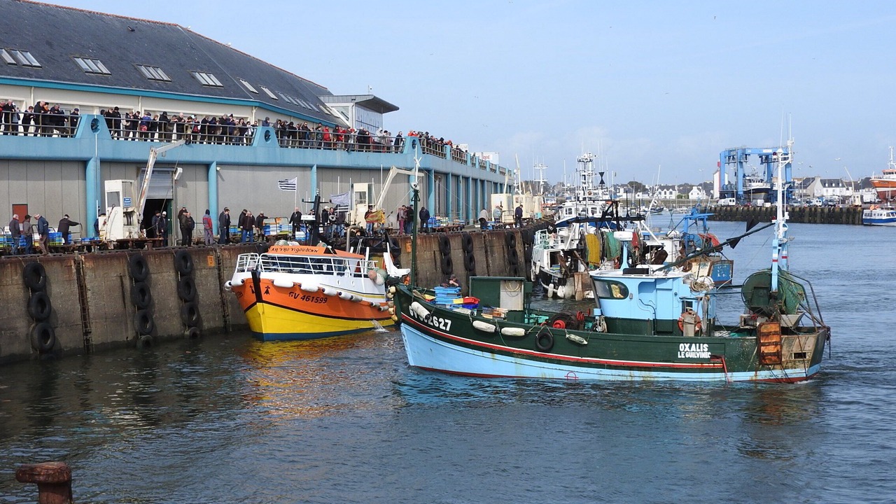 Photo of Others in Guilvinec