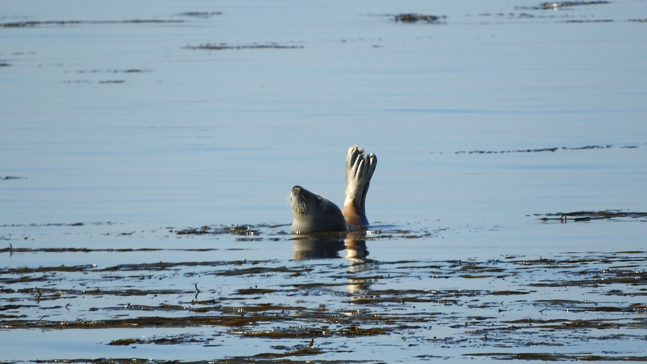 Photo of Others in Guilvinec