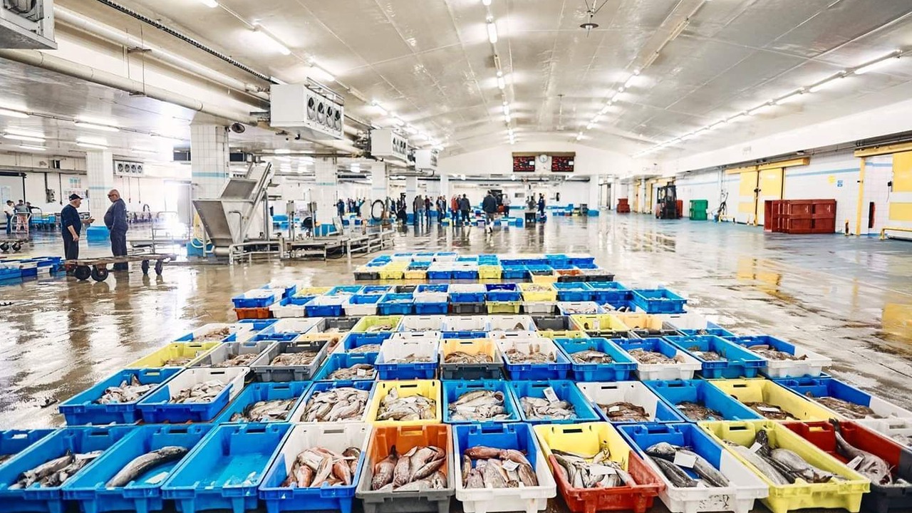 Photo of Others in Guilvinec