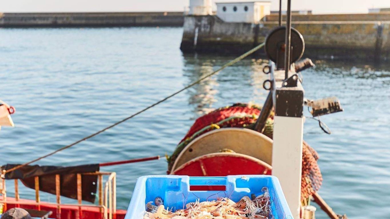 Photo of Outdoor in Guilvinec