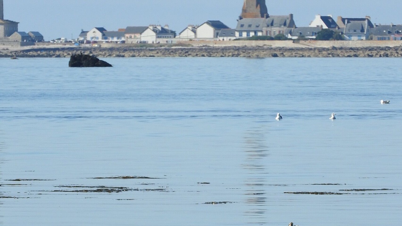 Photo of Others in Guilvinec