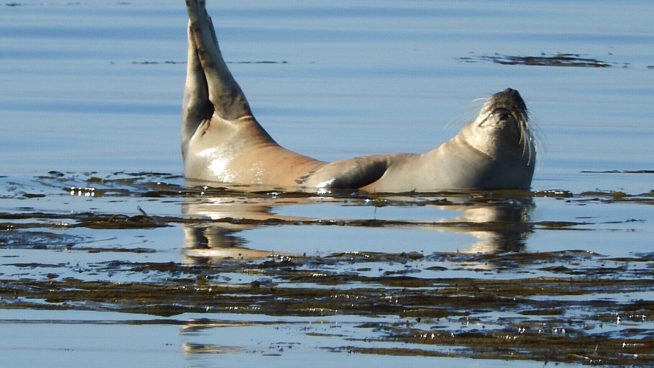 Photo of Others in Guilvinec