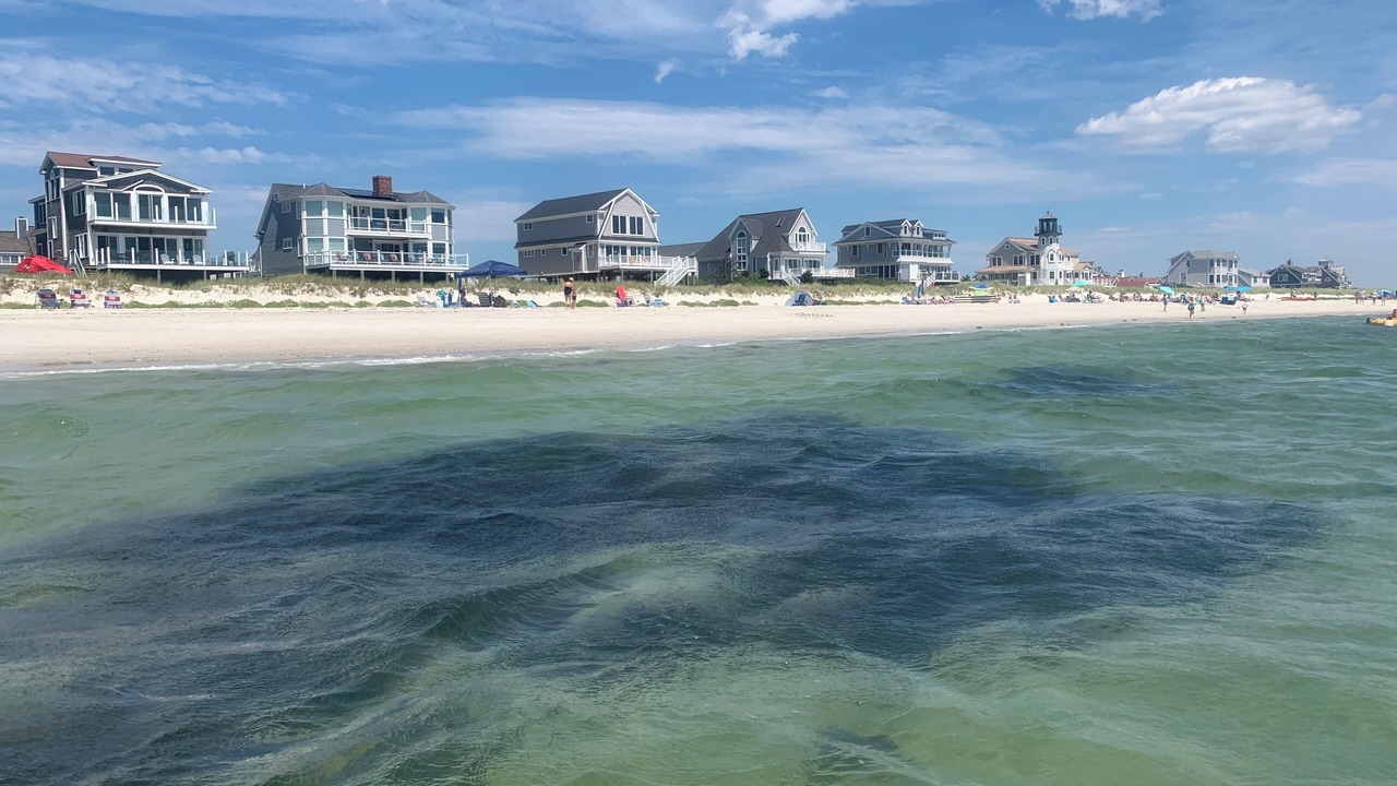 Photo of Others in West Yarmouth