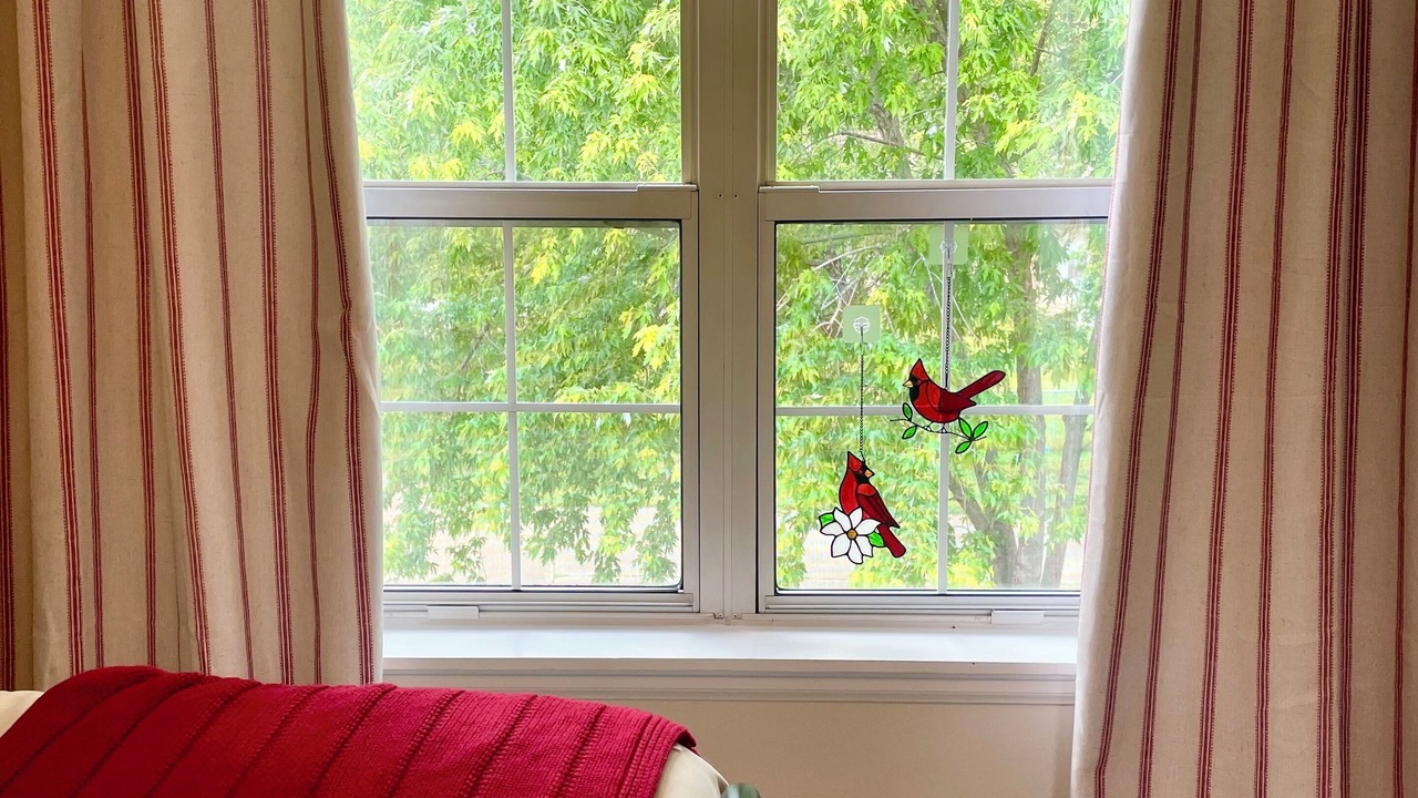 Photo of Bedroom in Pacific