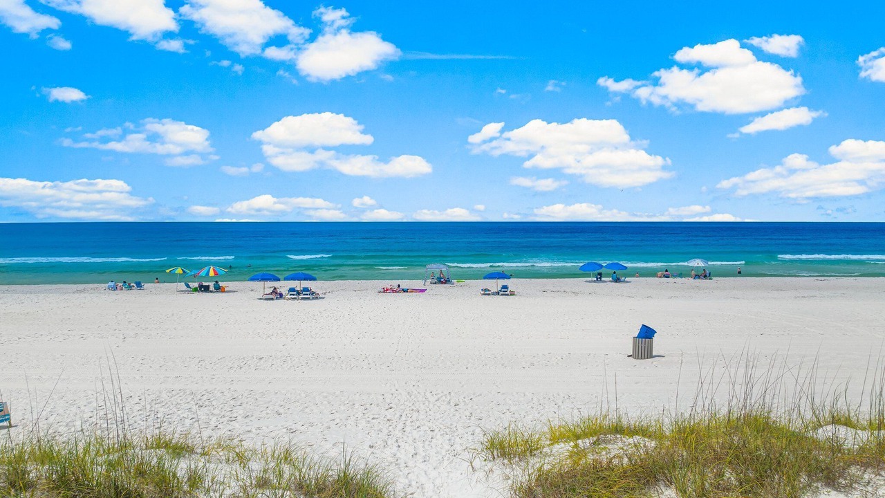 Photo of Others in Silver Sands Beach