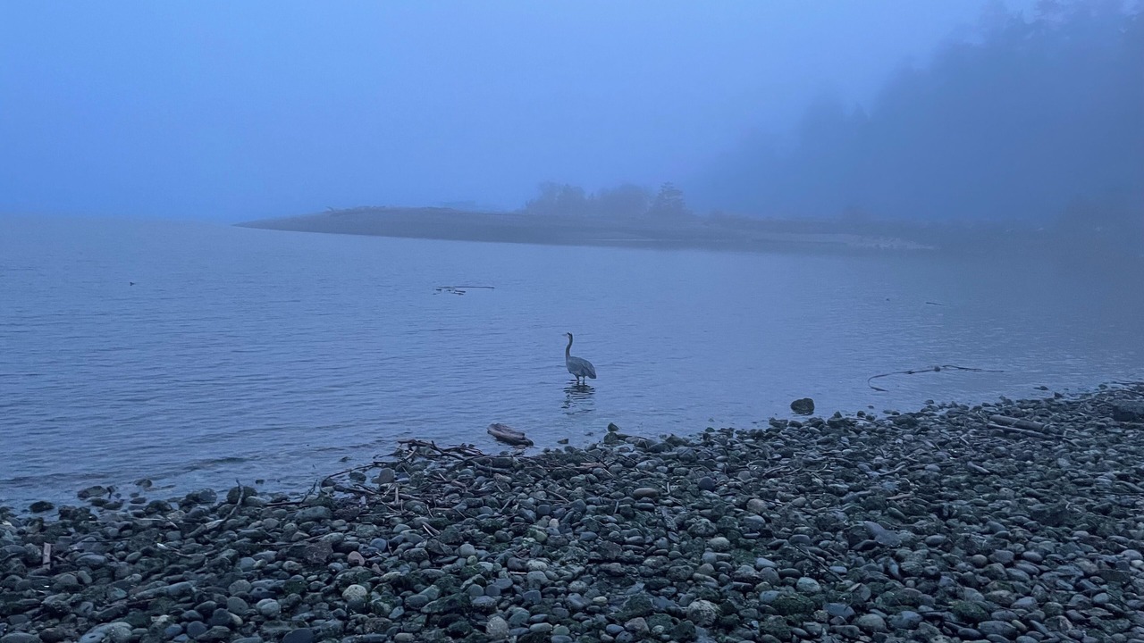 Photo of Outdoor in Sequim