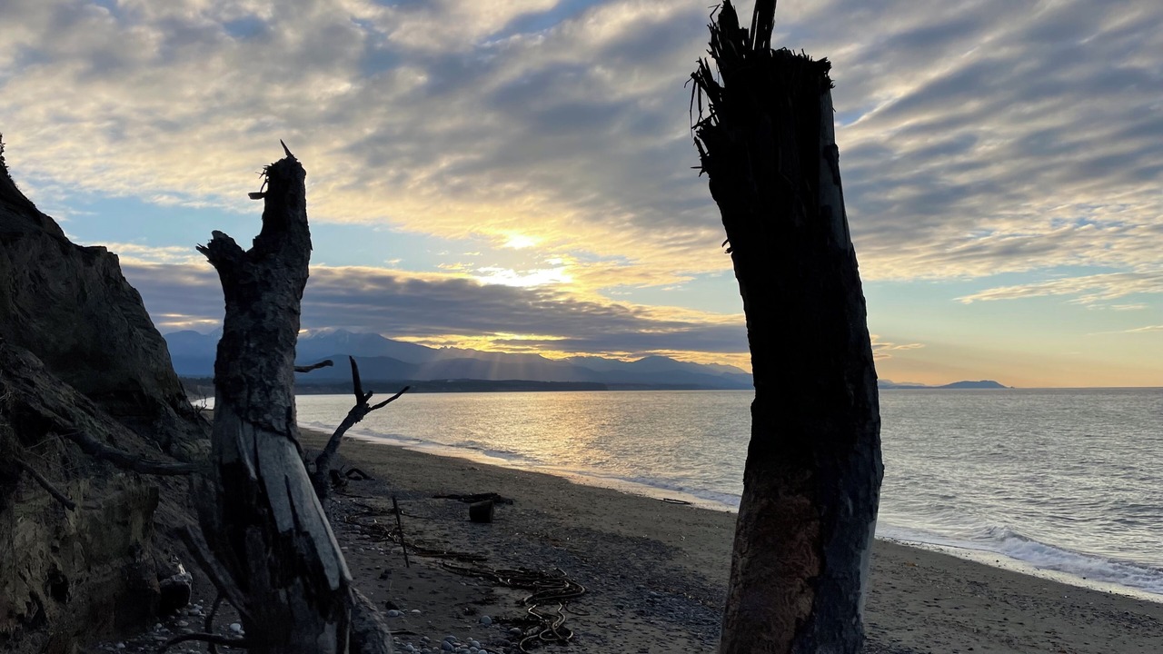 Photo of Others in Sequim