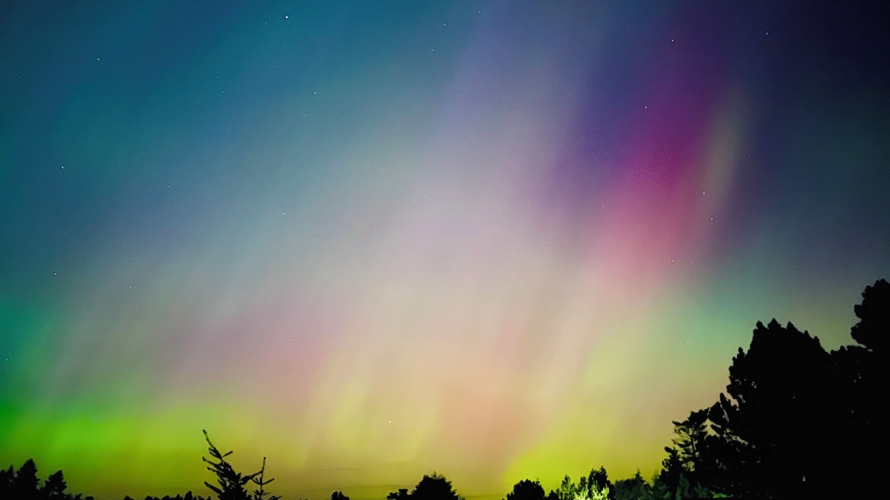 Photo of Others in Sequim