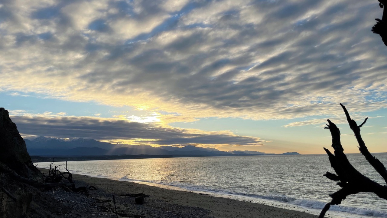 Photo of Others in Sequim