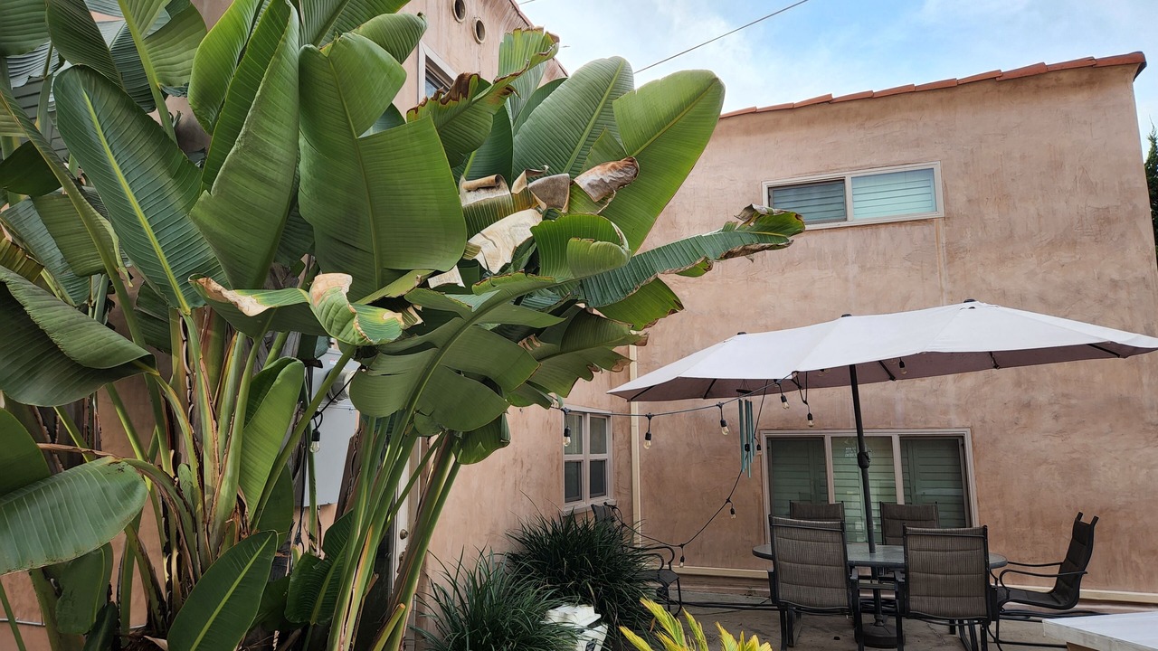 Photo of Outdoor in Adams Hill