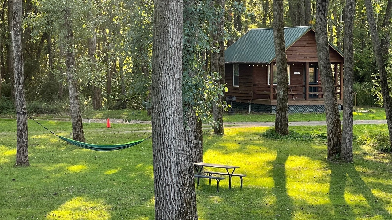 Photo of Others in Belfast