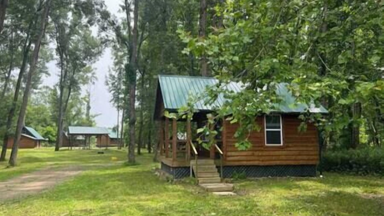 Photo of Others in Belfast