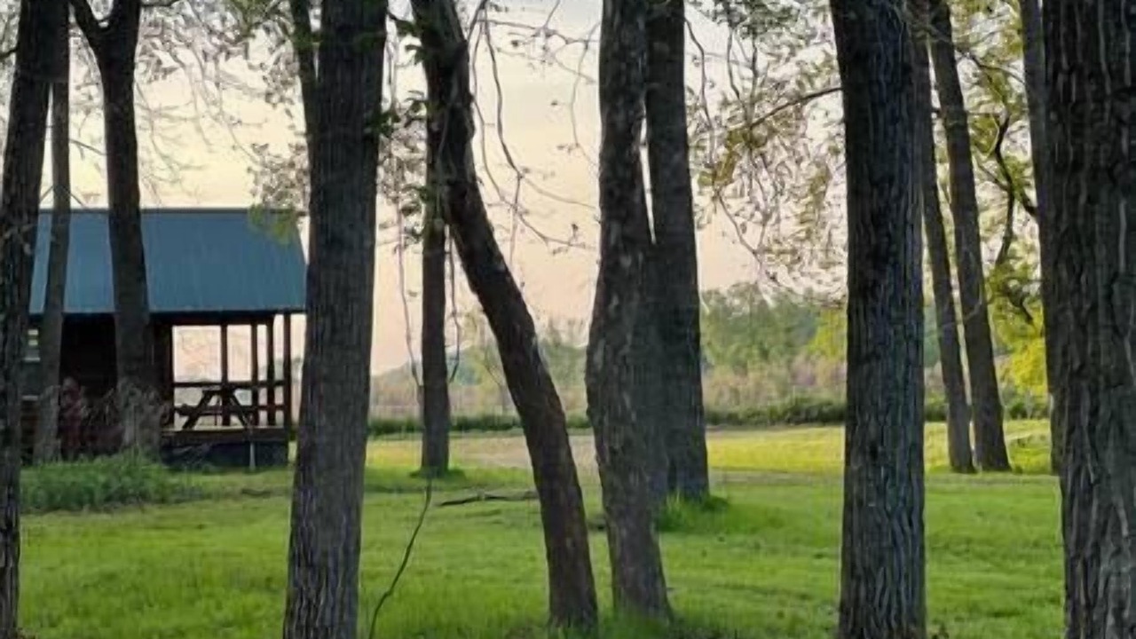 Photo of Others in Belfast