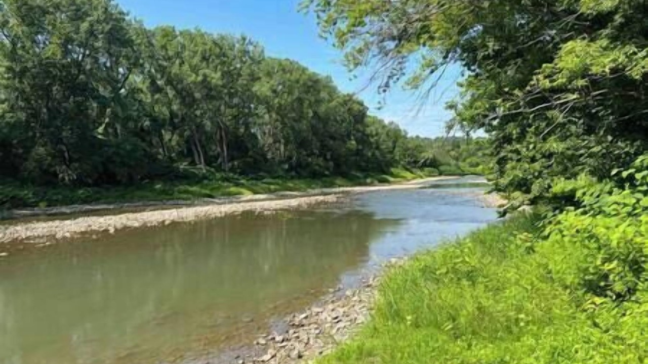 Photo of Others in Belfast