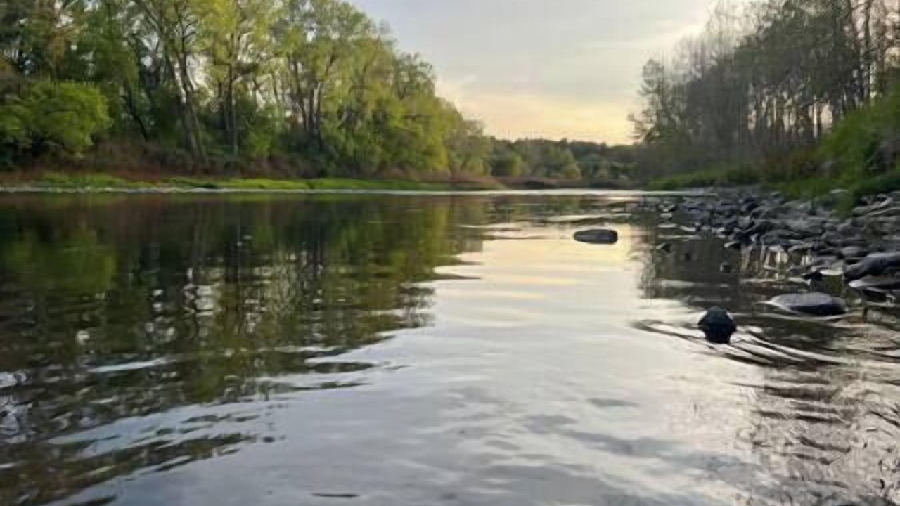 Photo of Others in Belfast
