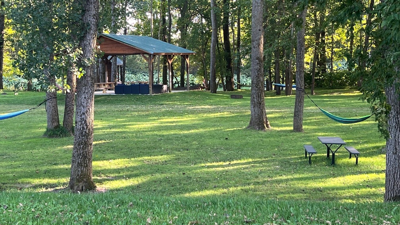 Photo of Others in Belfast