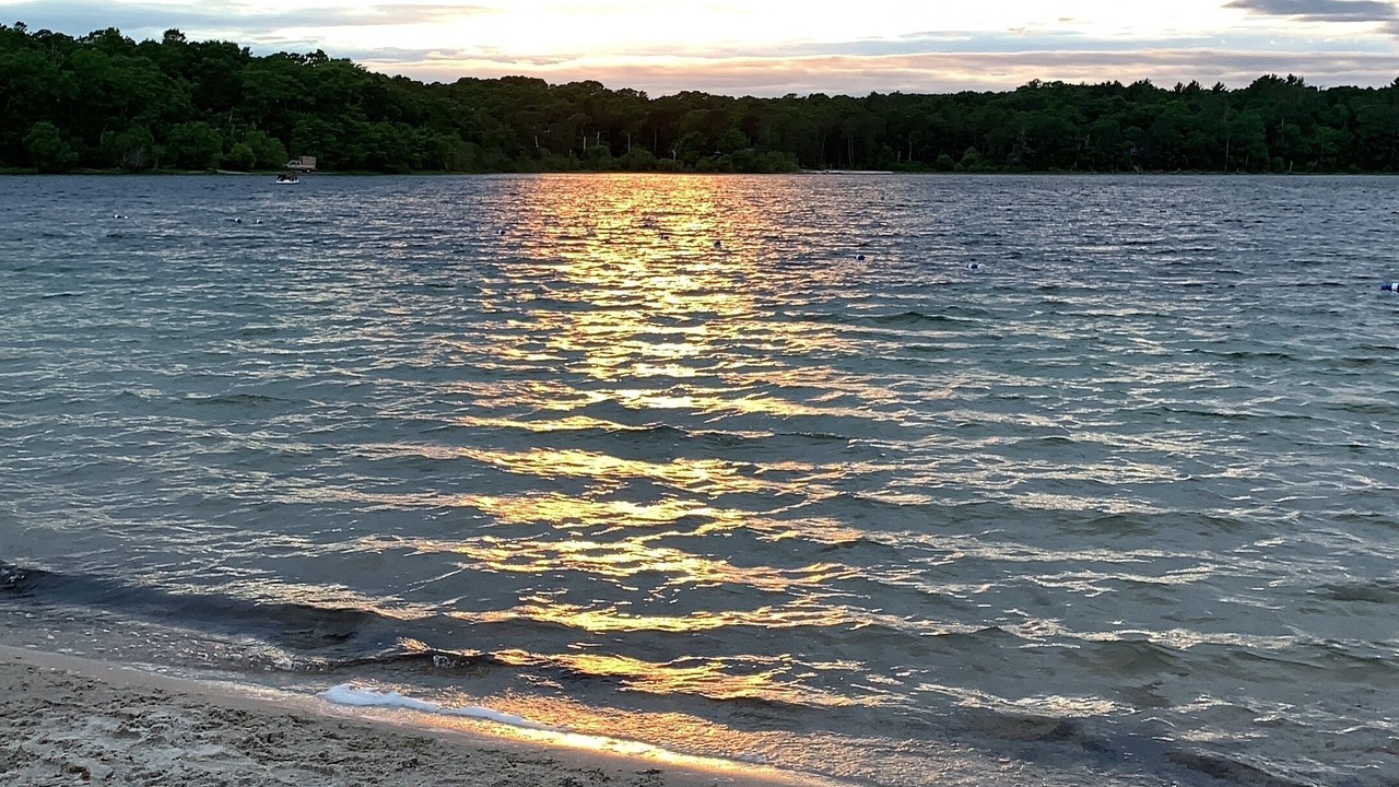 Photo of Others in Forestdale