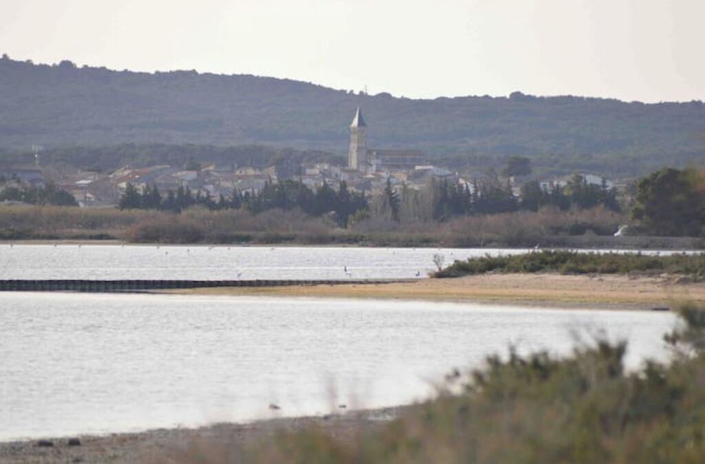 Photo of Outdoor in Mireval