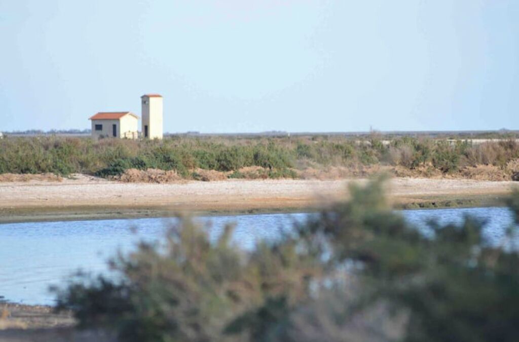 Photo of Others in Mireval