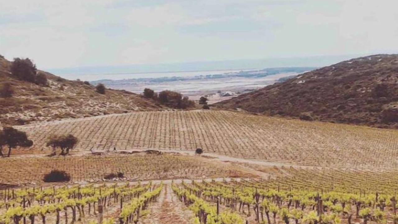 Photo of Outdoor in Mireval