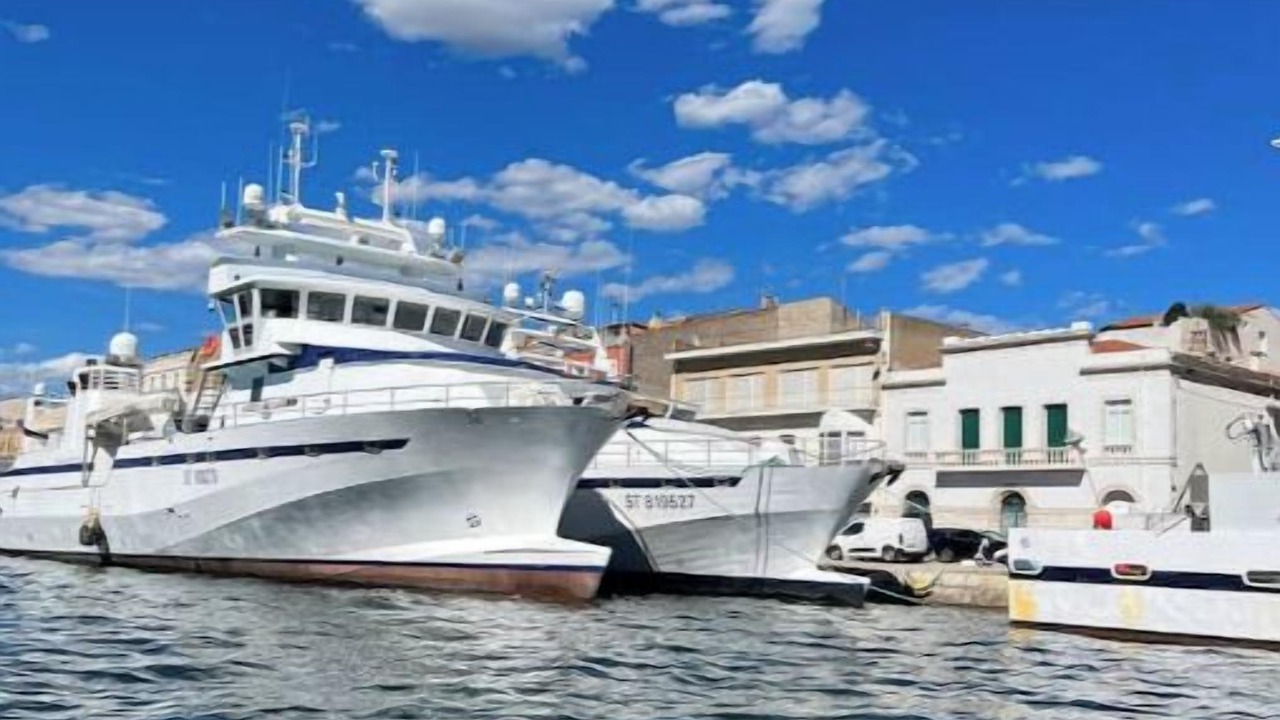 Photo of Others in Mireval