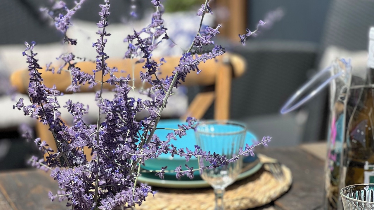 Photo of Others in Molleges