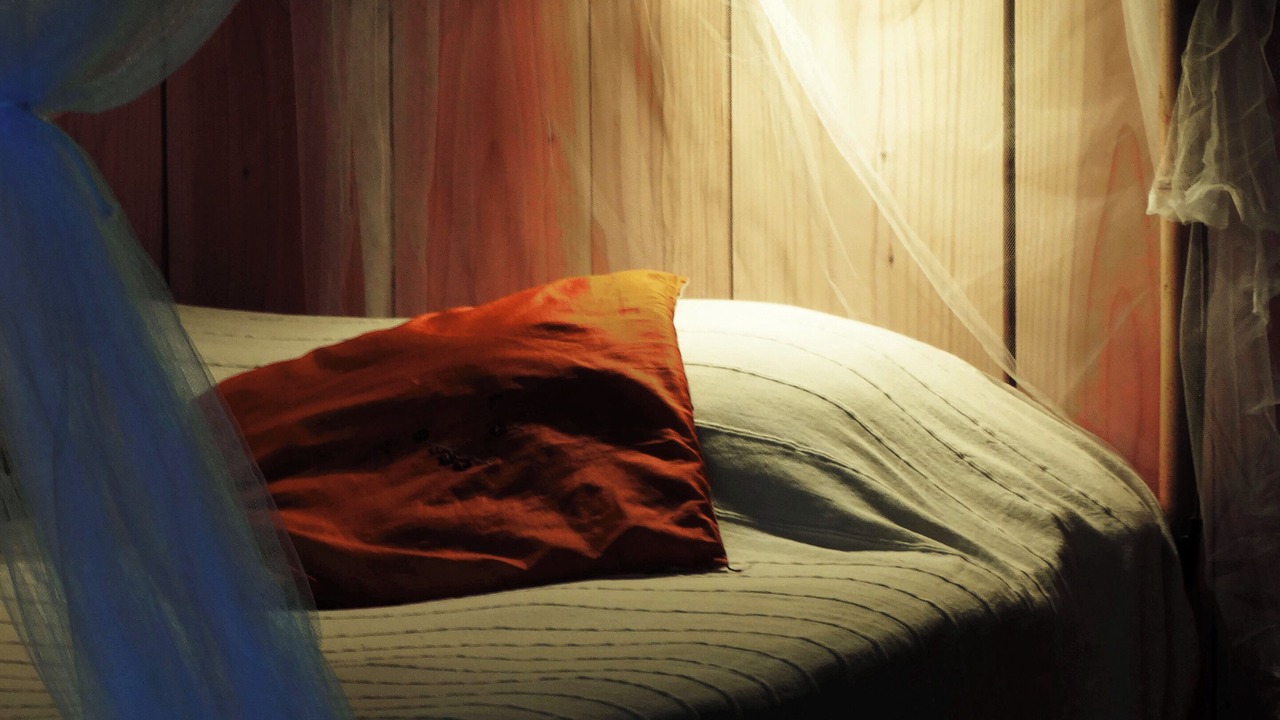 Photo of Bedroom in Saint-Andre-de-Cruzieres