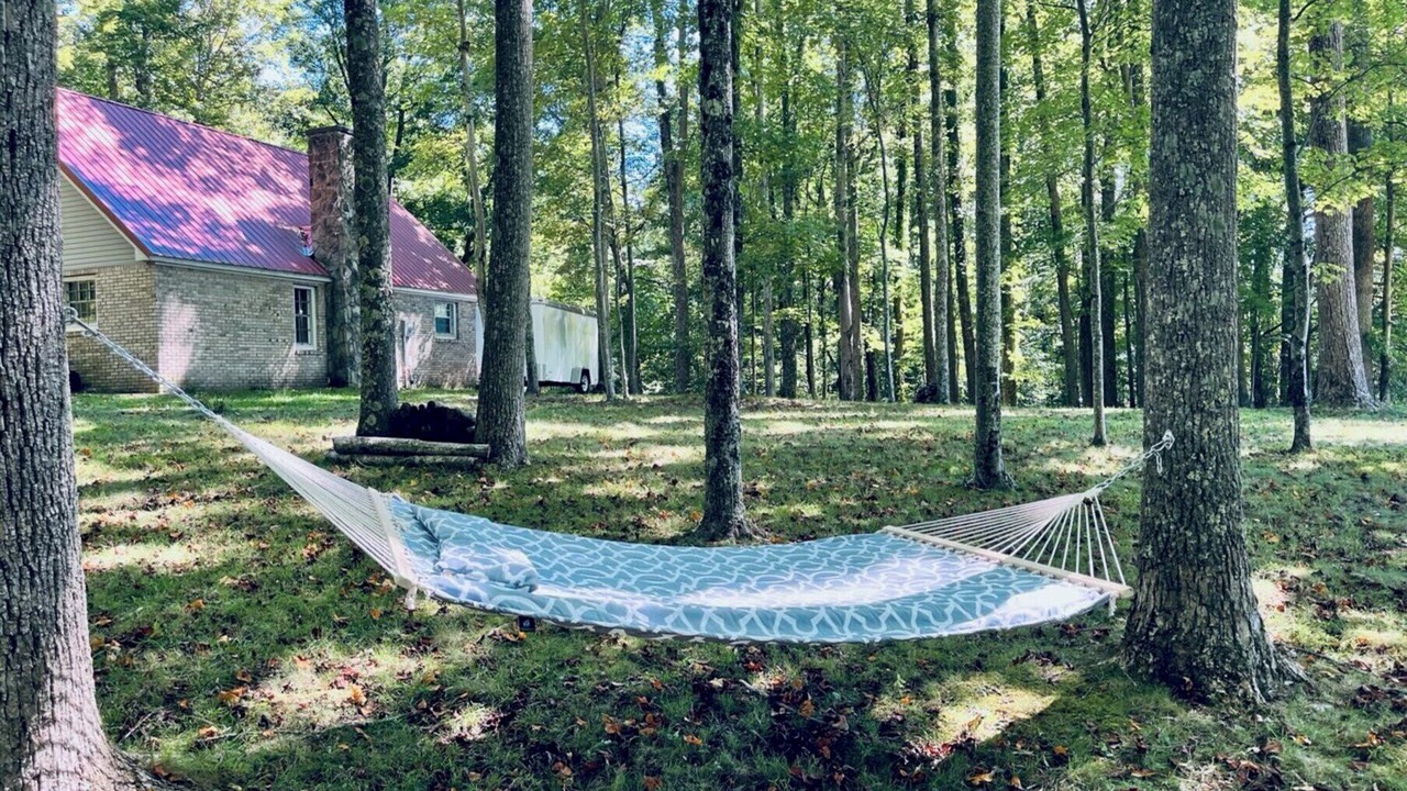 Photo of Outdoor in Terry