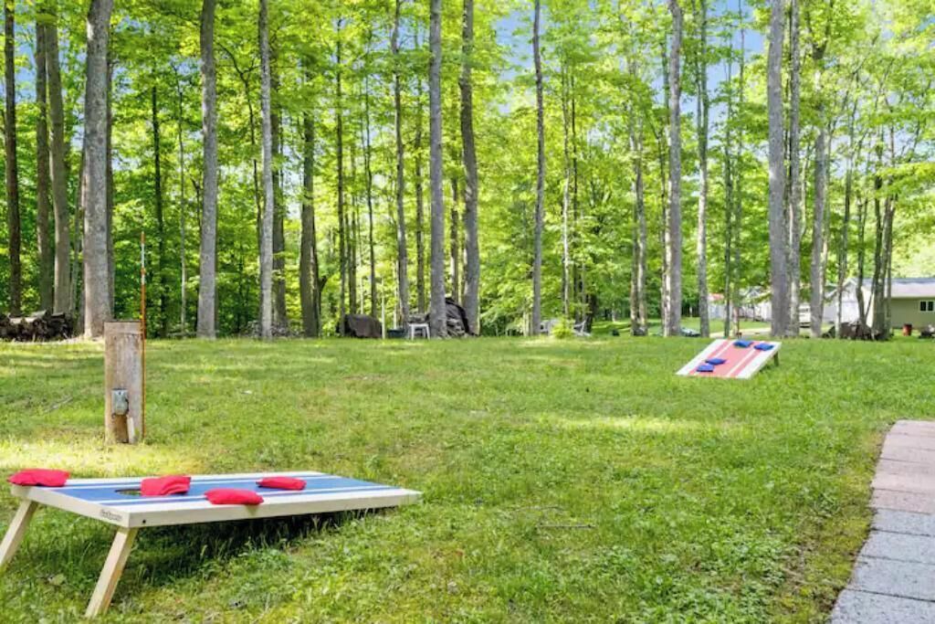 Photo of Outdoor in Terry