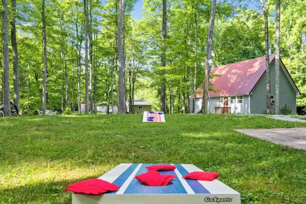 Photo of Outdoor in Terry