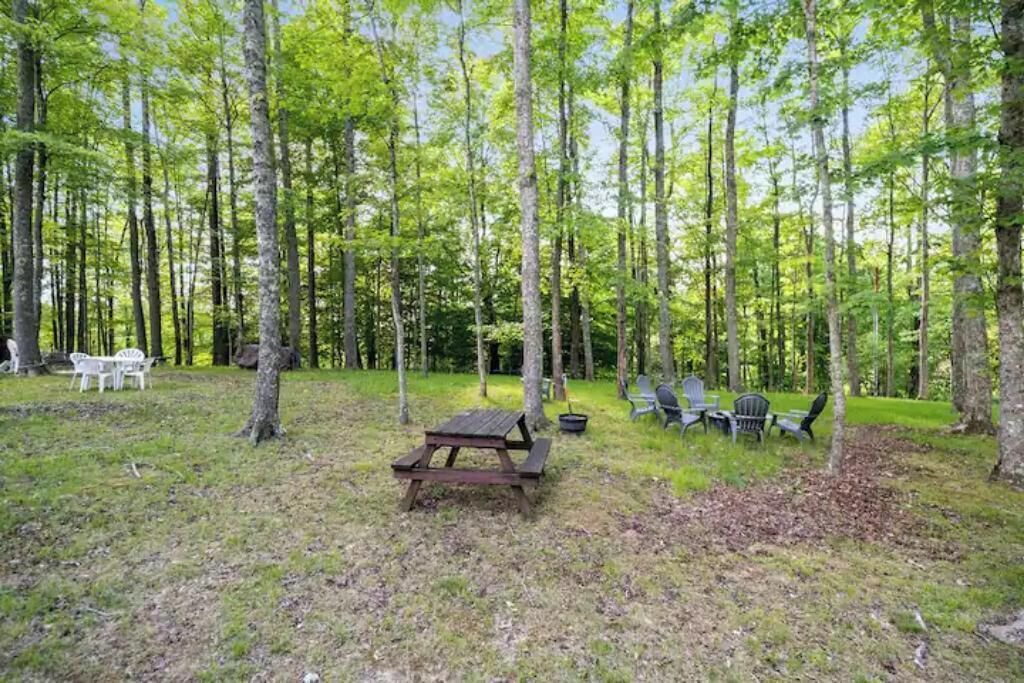 Photo of Outdoor in Terry