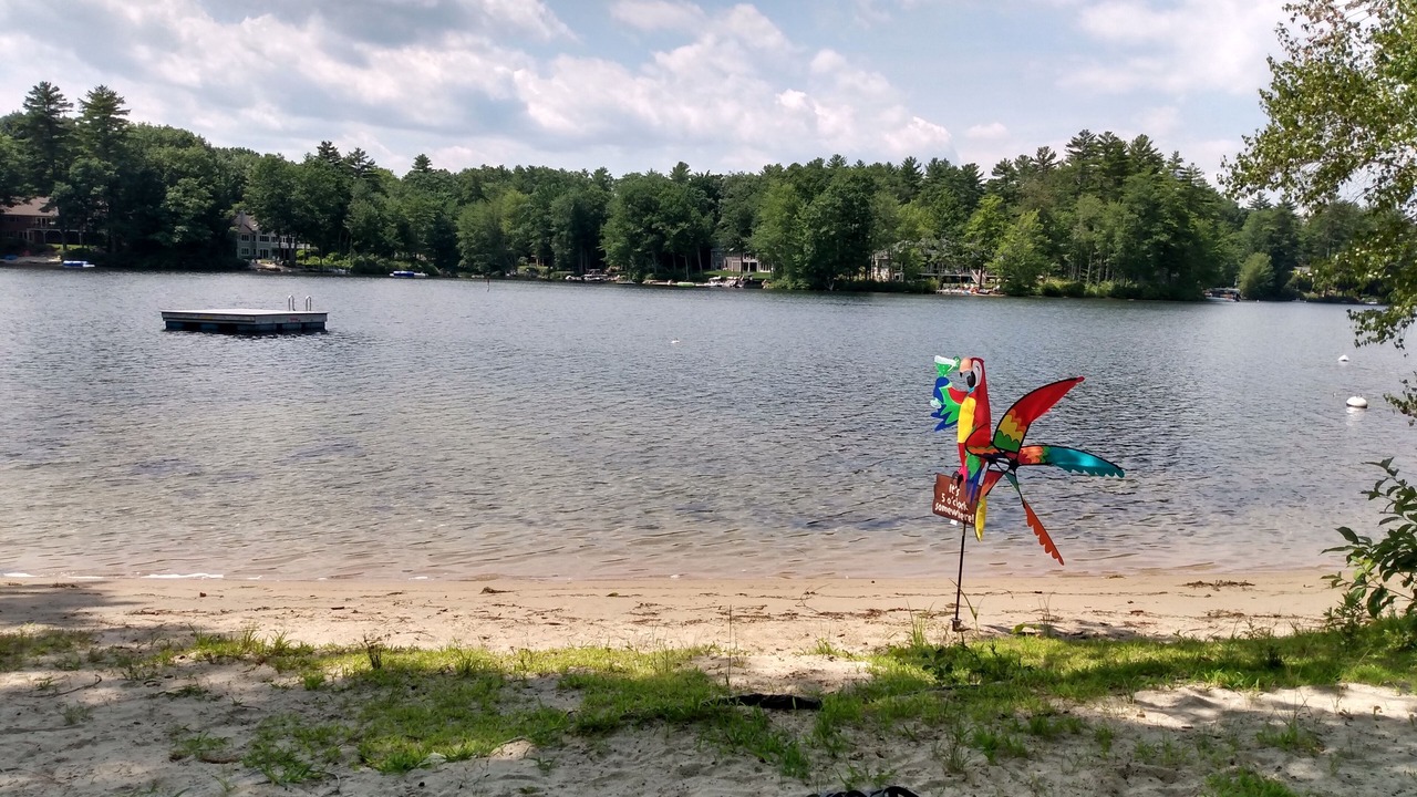 Photo of Others in Wolfeboro