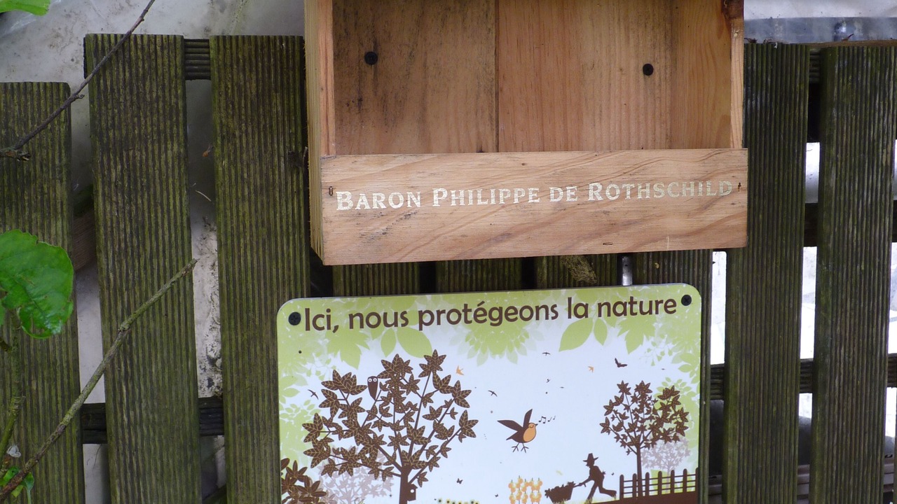 Photo of Outdoor in Le Loroux-Bottereau