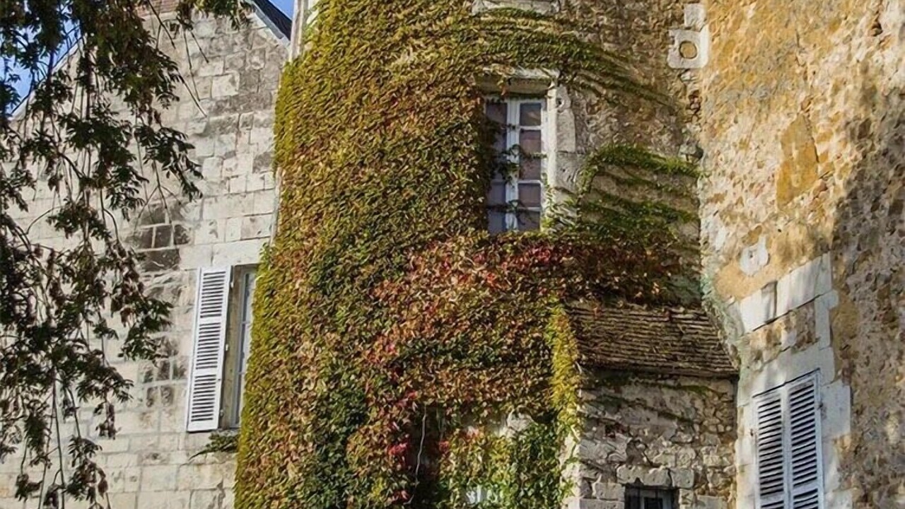 Photo of Outdoor in Mortagne-au-Perche