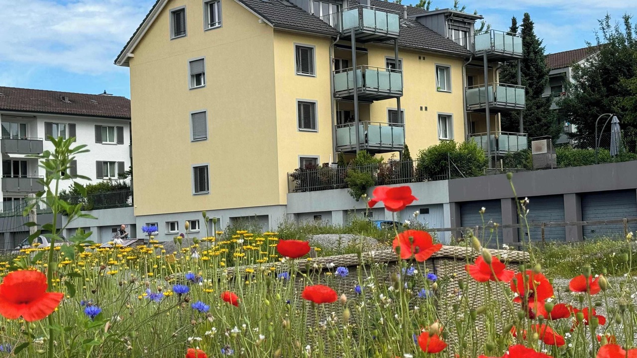 Photo of Outdoor in Wallisellen