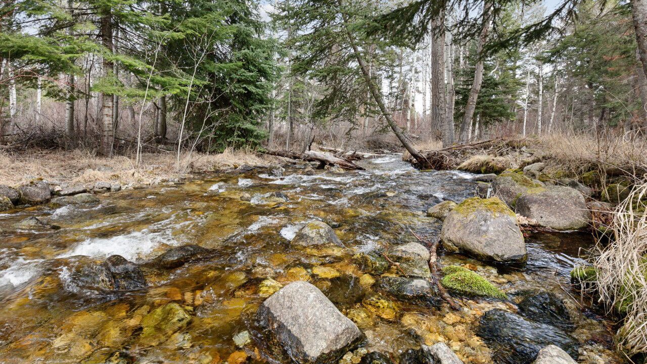 Photo of Others in Victor