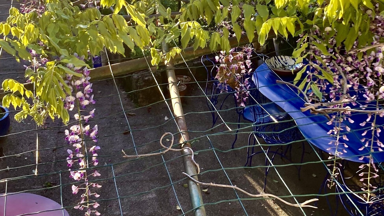Photo of Outdoor in Aigues-Vives
